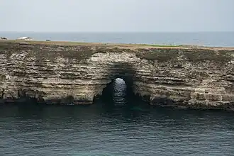avec son arche,