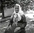 Peča, 1951