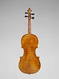 Dessous du violon (fond, manche, tête et chevilles)