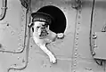 « Venus », un bulldog qui était la mascotte du navire HMS Vansittart (en) en 1941.