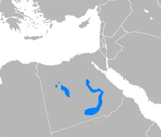 Image illustrative de l’article Arabe saïdi
