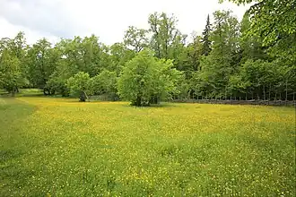 Prairie du parc.