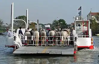 Traversée du Rhône sur le bac