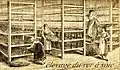 Durant la descoucounado des vers à soie, des filles se moquent de Mireille et la Masco (« sorcière ») Taven les rappelle à l'ordre disant que l'amour est une chose trop sérieuse.
