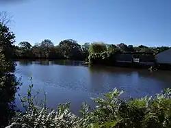 Étang de Beaulieu