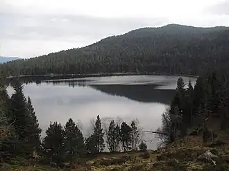 Étang de Querigut.
