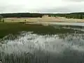Etang de Schwarzbach, vestige de la dernière glaciation.