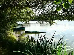 Berges de l'étang de la Forge à Forgeneuve.