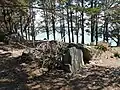 Les vestiges mégalithiques de Pen Liouse 2.