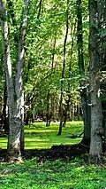 Parc de l'Île Saint-Bernard.