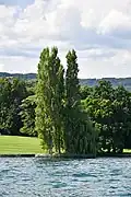 L'île de Choisi vue du lac.