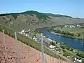 Vignobles en coteaux dominant la Moselle, près d'Ürzig