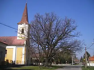 Číčov
