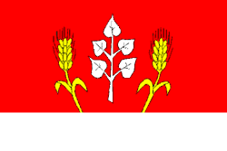 Drapeau de Čavisov