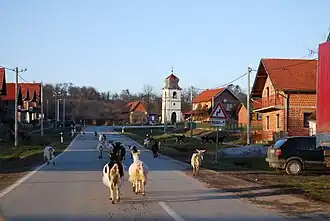 Čeralije