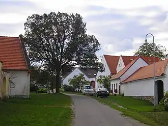 Dolní Třebonín