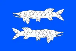 Drapeau de Čikov