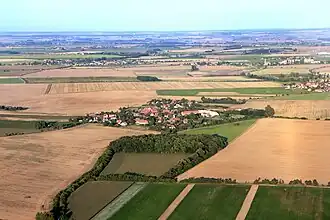 Čilec