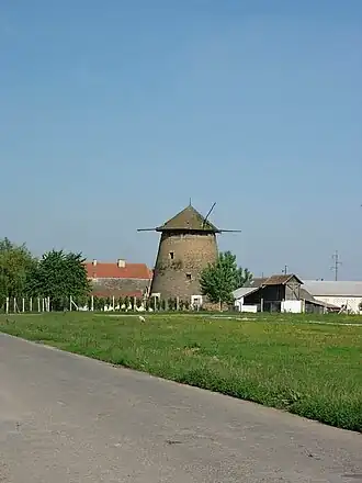 Čurug