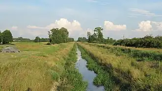 Łózki