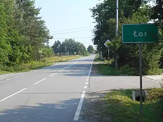 Łoś