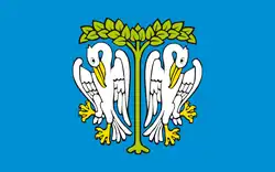 Drapeau de Łowicz