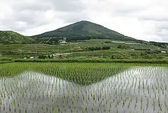 Minamikyūshū