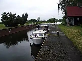 Pianówka