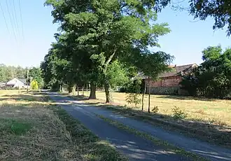 Śniadowo (Mazovie)