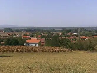 Šainovac