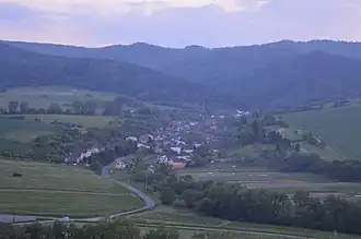 Šiba