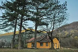Kamenica (Kraljevo)