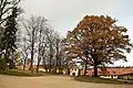 Vue du parc du chateau de Šlokenbeka