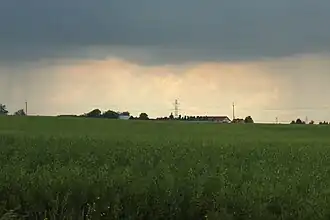 Żabikowo