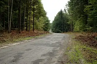 Żelebsko