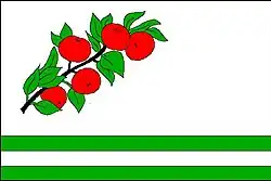 Drapeau de Žďárná