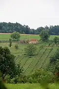 Žabari - panorama