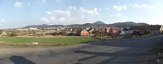 Žalany