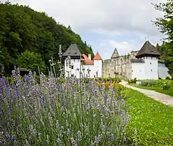 Chartreuse de Žiče du jardin d'herbes monastique