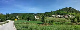 Žonti