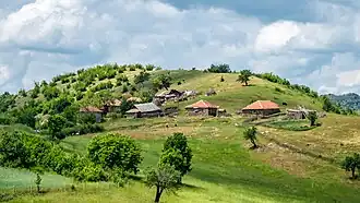 Sekoulitsa