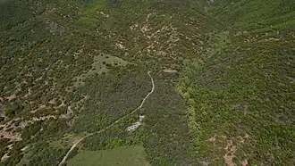 Ayranli