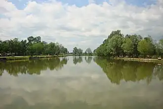 Bardača