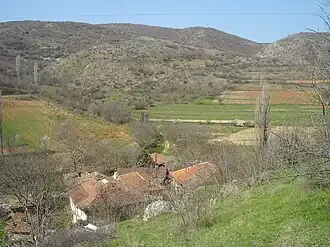Belechtevitsa
