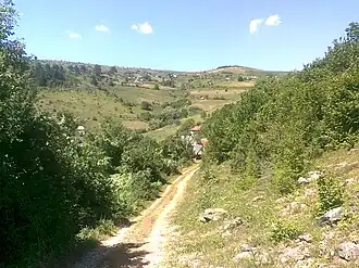 Biskupići (Prijepolje)