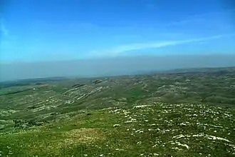 Prairie plissée.