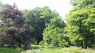 Jardin.