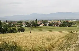 Bounardjik