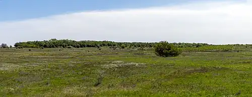 Plaine.