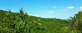 Gopech